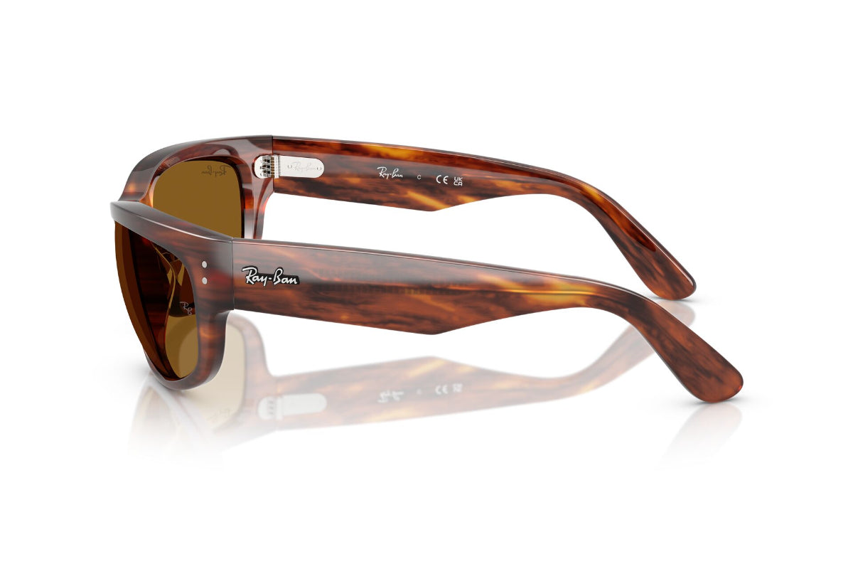Ray-Ban Mega Balorama
